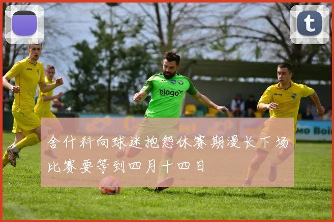 舍什科向球迷抱怨休赛期漫长下场比赛要等到四月十四日