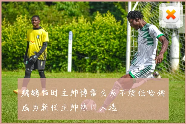 鹈鹕临时主帅博雷戈或不续任哈姆成为新任主帅热门人选